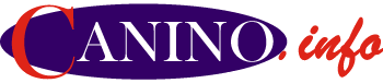 Canino Info Store